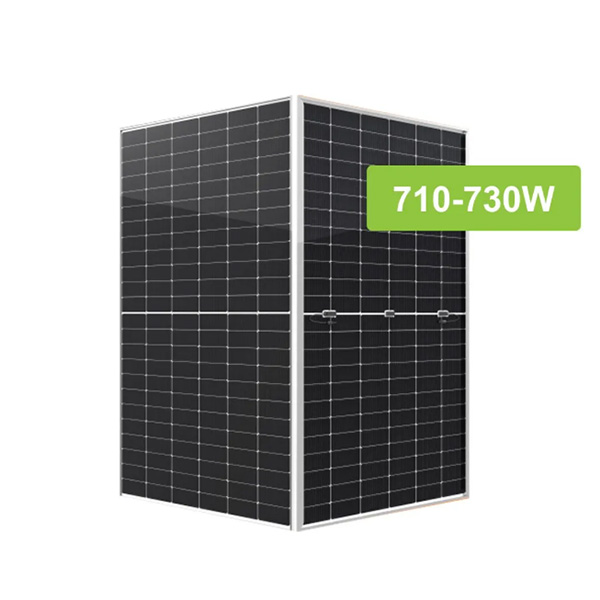 Bifacial Double Glass 730W